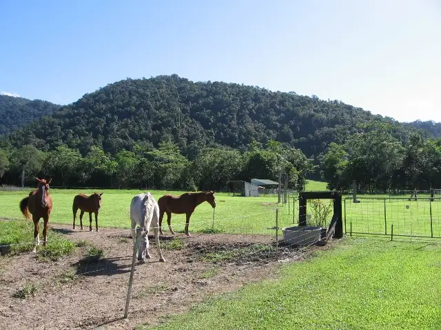 Third view of Homely house listing, 76 Carr Road, Julatten QLD 4871