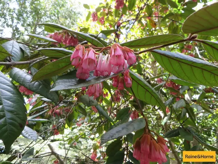 Fourth view of Homely land listing, Lot 301 Hardy Close, Korora NSW 2450