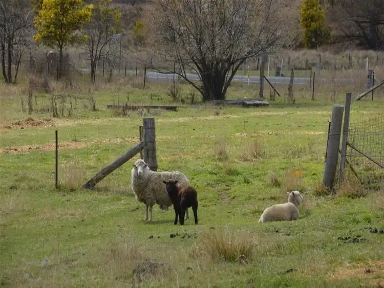 Seventh view of Homely house listing, 7031 Castlereagh Highway, Ilford NSW 2850