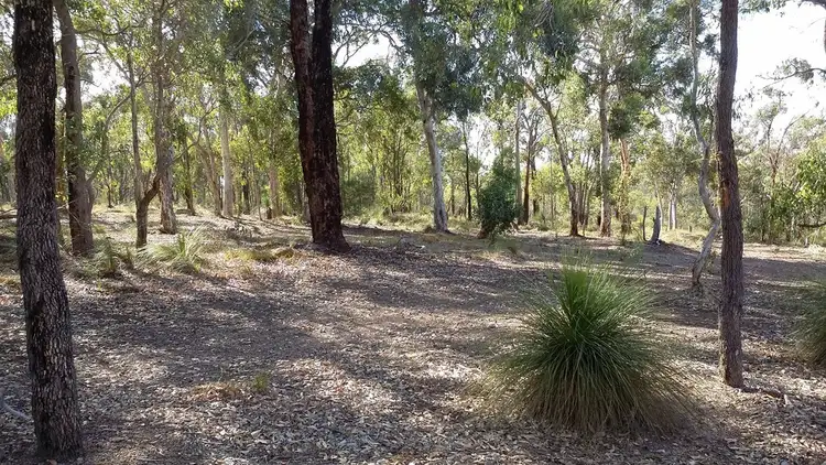 Fifth view of Homely rural property listing, 307 Jess Road, Bullsbrook WA 6084