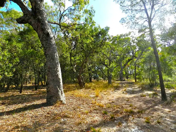 Seventh view of Homely land listing, lot 22 Bloodwood Ave Nth Sunrise, Agnes Water QLD 4677