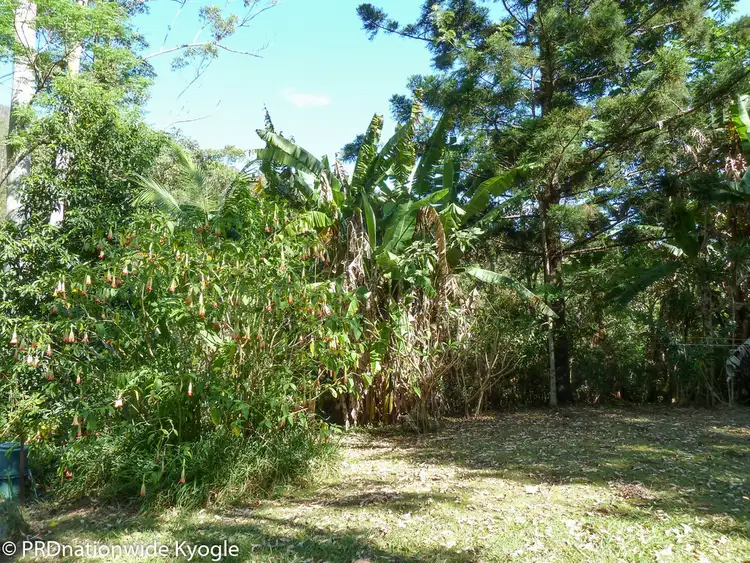 Sixth view of Homely rural property listing, 362 Boundary Creek Road, Bentley, Kyogle NSW 2474