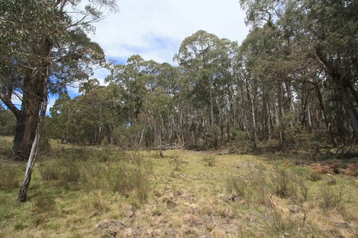 Main view of Homely rural property listing, 345 Kybeyan Road, Nimmitabel NSW 2631