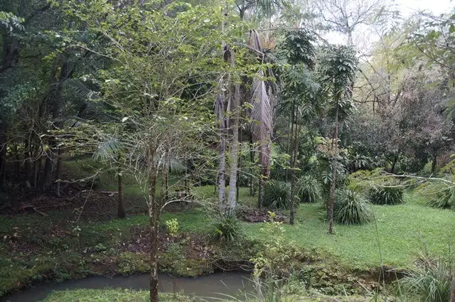 Fourth view of Homely house listing, 8 Payne Street, Eumundi QLD 4562