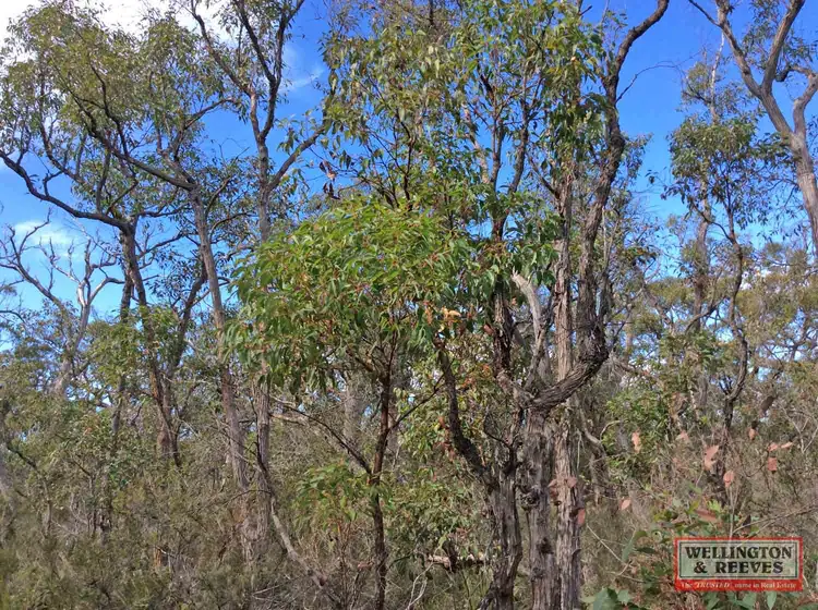Third view of Homely rural property listing, Lot 1 - D93319 Wragg Road, Denmark WA 6333