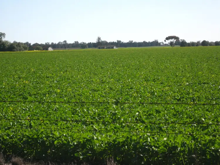 Seventh view of Homely rural property listing, 591 Warrangoon Siding Road, Mulwala NSW 2647
