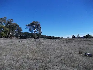 Main view of Homely land listing, Address available on request