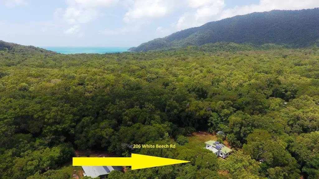 Main view of Homely house listing, 6 White Beech Road, Daintree QLD 4873