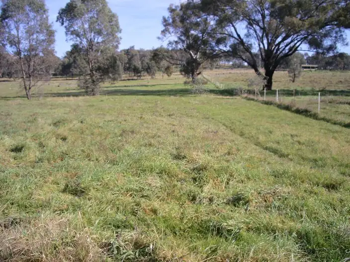 Third view of Homely rural property listing, 44 Rathmells Lane, Cootamundra NSW 2590