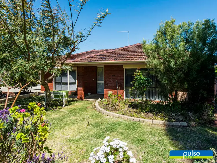 Second view of Homely house listing, 11 Tangney Crescent, Samson WA 6163