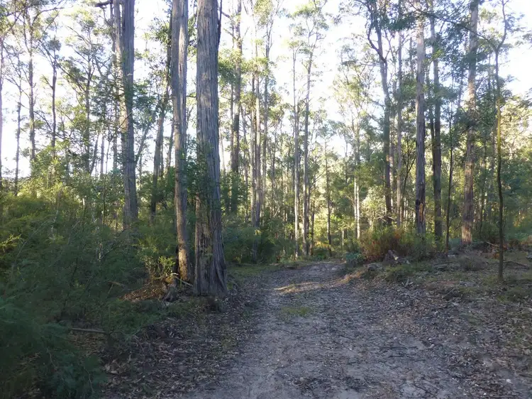 Third view of Homely land listing, 695 Beverleys Road, Cobbannah VIC 3862