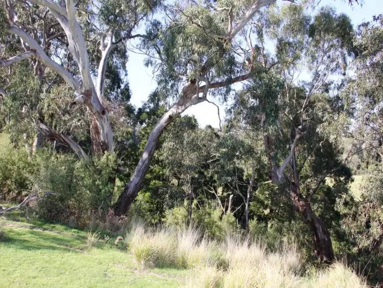 Fifth view of Homely house listing, 681 BUXTON'S LANE, Stradbroke VIC 3851