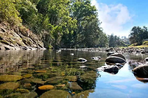 Fourth view of Homely rural property listing, 1962 Allyn River Road, Gresford NSW 2311