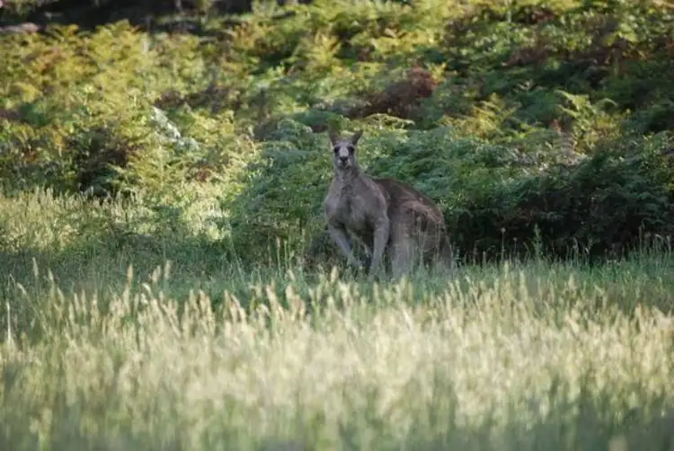 Fifth view of Homely land listing, 1 Munbinga Drive, Lithgow NSW 2790