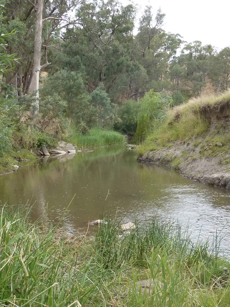 Fifth view of Homely rural property listing, 1150 Carabost Road, Humula NSW 2652