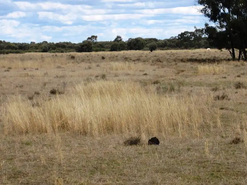 Main view of Homely rural property listing, KURU 1688 Forest Way, Wee Waa NSW 2388