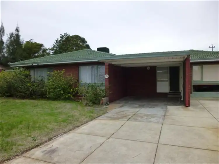 Main view of Homely house listing, 64 Watling Avenue, Lynwood WA 6147