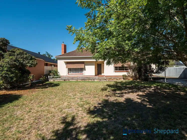 3 Layton Avenue, Fulham SA 5024