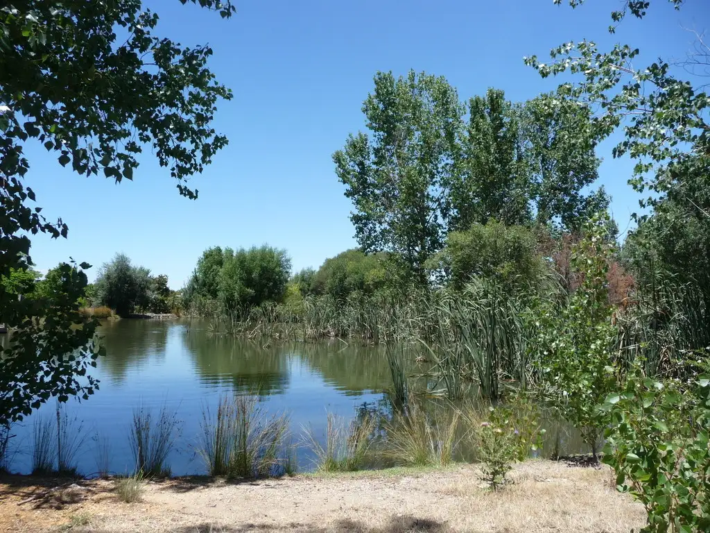 Main view of Homely land listing, L 4 Coxon Place, Echuca VIC 3564