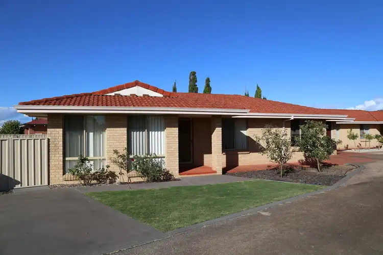 Main view of Homely unit listing, Unit 6, 42 Butler Street, Castletown WA 6450