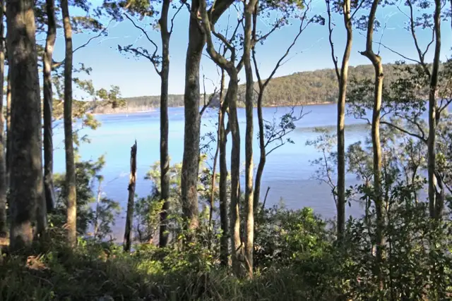 Sixth view of Homely house listing, 38 Kings Point Drive, Kings Point NSW 2539