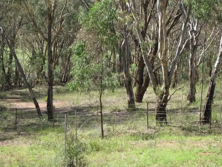 Sixth view of Homely rural property listing, 1953 Hill End Road, Mudgee NSW 2850