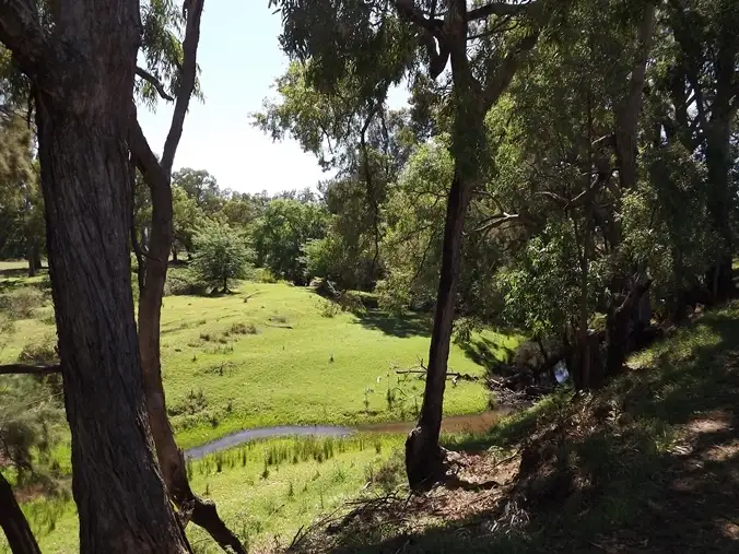 Sixth view of Homely rural property listing, Lot 22 River Road, Coonabarabran NSW 2357