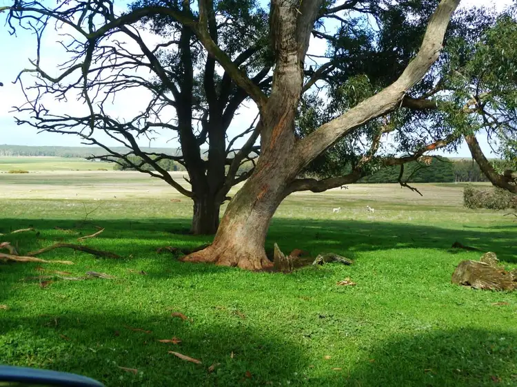 Fourth view of Homely rural property listing, 575 Preston Hill Road, Hillcrest VIC 3351