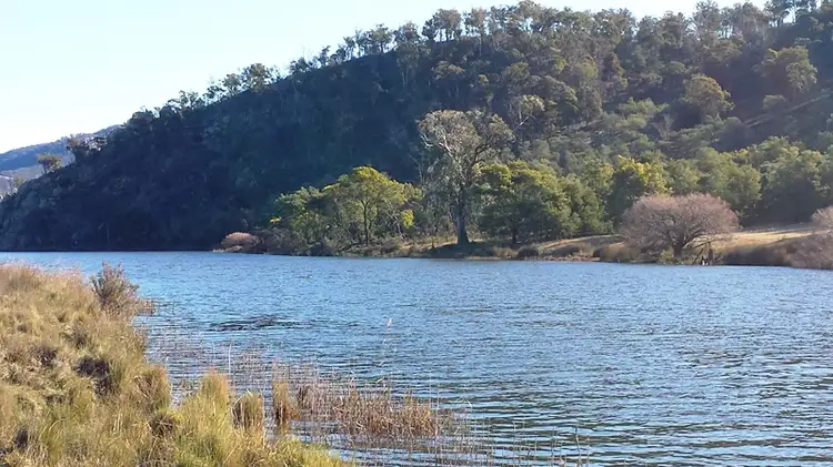 Fourth view of Homely rural property listing, 3837 Esk Main Road, Fingal TAS 7214