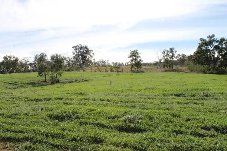 Third view of Homely rural property listing, 2962 Gwydir Highway, Inverell NSW 2360