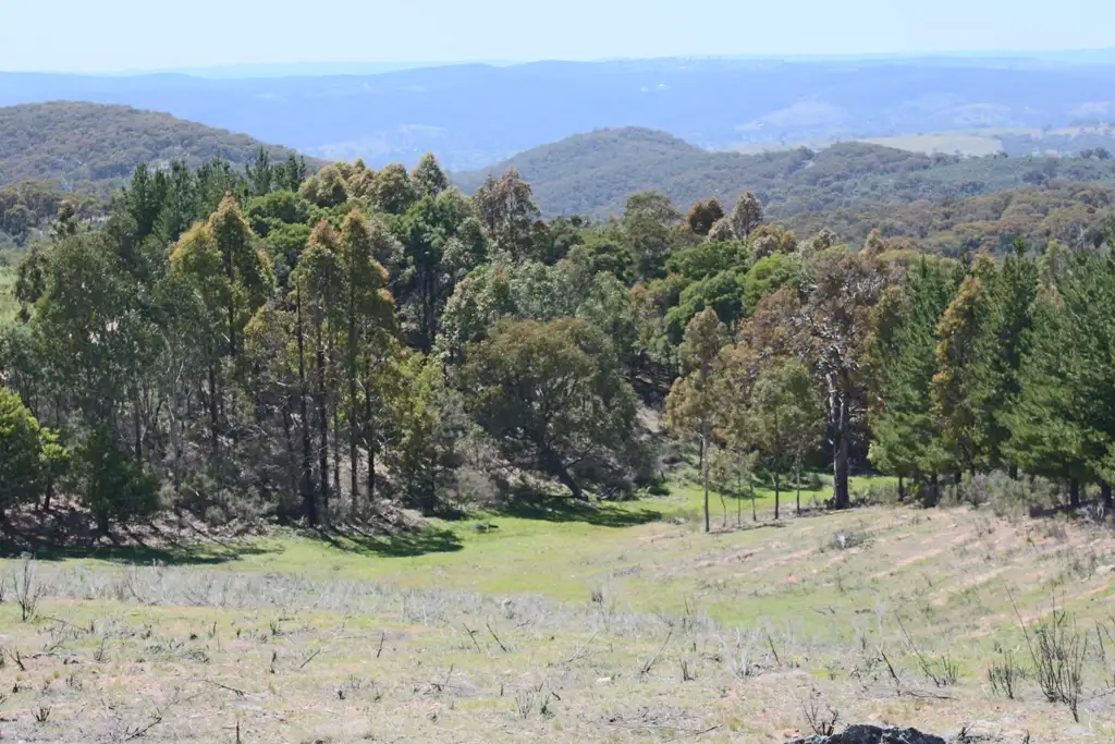 Main view of Homely rural property listing, Address available on request