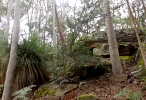 Third view of Homely rural property listing, Lot 7, 10 Oak Road, Ourimbah NSW 2258