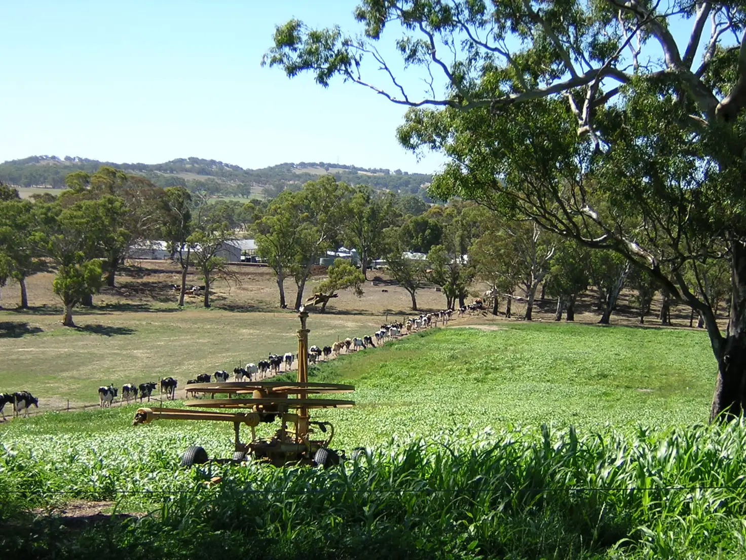 Main view of Homely rural property listing, 100 Leske Road, Birdwood SA 5234