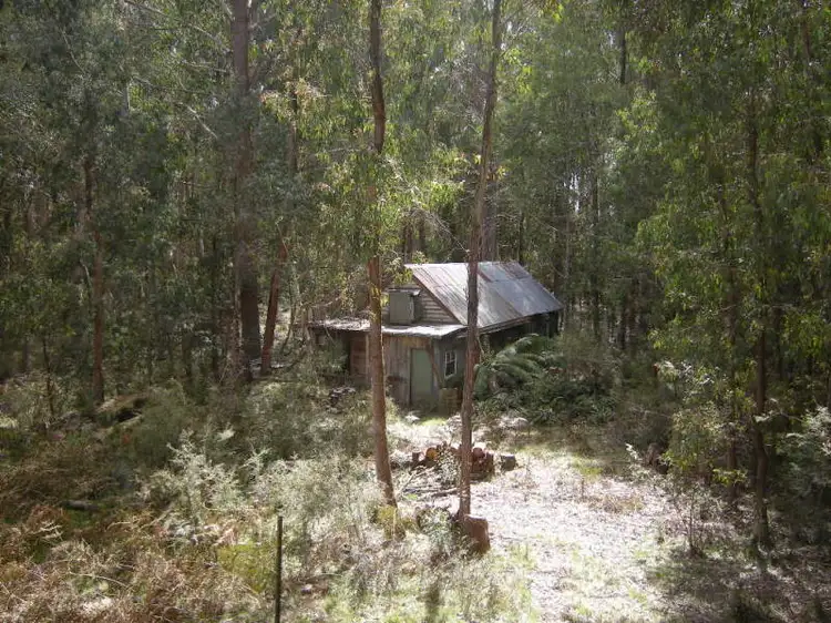Fifth view of Homely other listing, 1545 Orbost -Bendoc Road, Bendoc VIC 3888