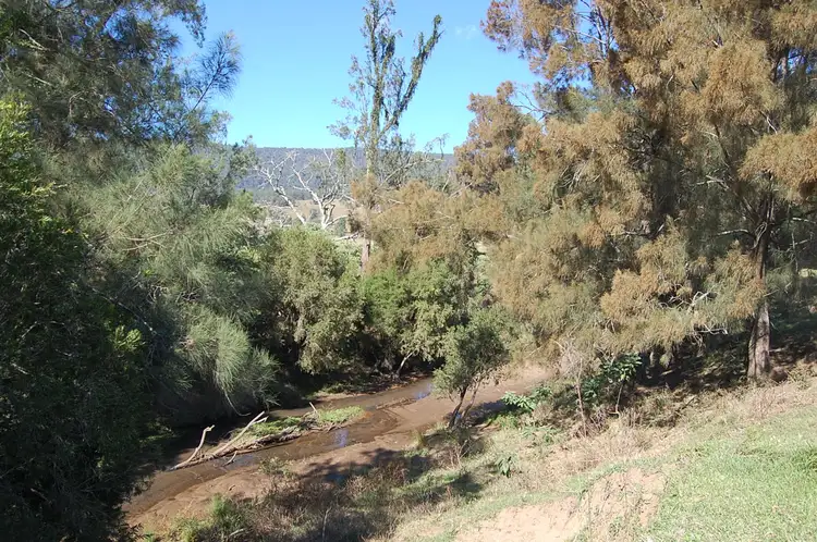 Sixth view of Homely rural property listing, 191 Shorts Road, Old Bonalbo NSW 2469