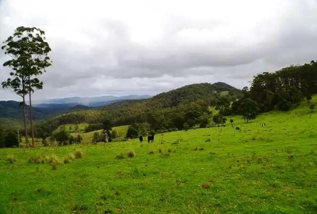Fifth view of Homely rural property listing, Lot 107 Costigans Road, Yarras NSW 2446