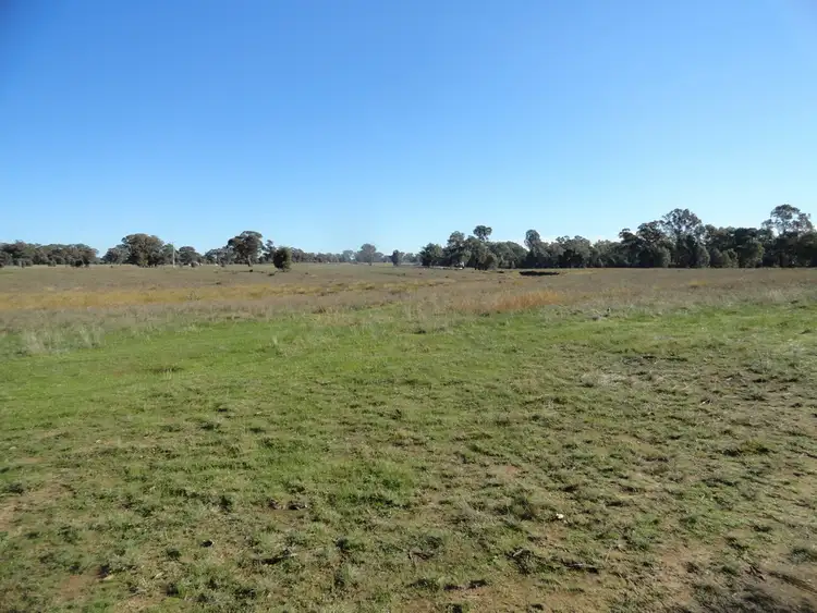 Fifth view of Homely rural property listing, Lot 5 Williams Road, Barnawartha VIC 3688