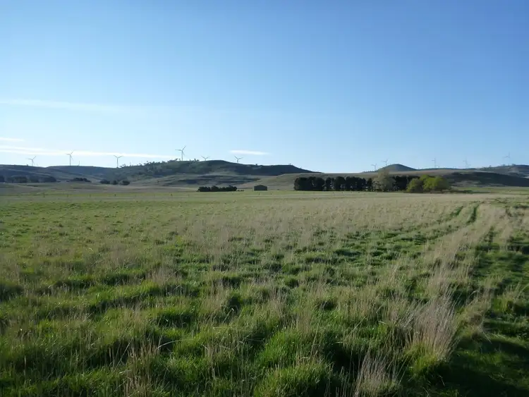 Third view of Homely rural property listing, 2220 The Snowy River Way, Cooma NSW 2630