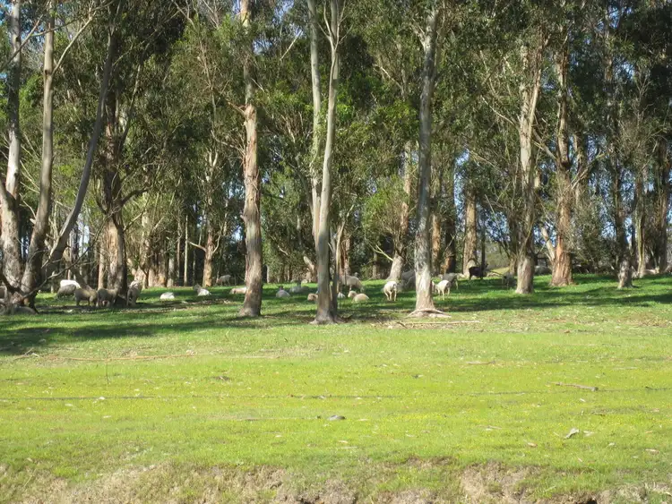 Fourth view of Homely rural property listing, 518 Harvey Road, Mount Barker WA 6324