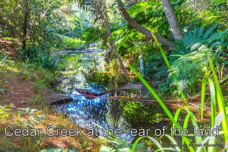 Seventh view of Homely land listing, 311 Long Road, Tamborine Mountain QLD 4272