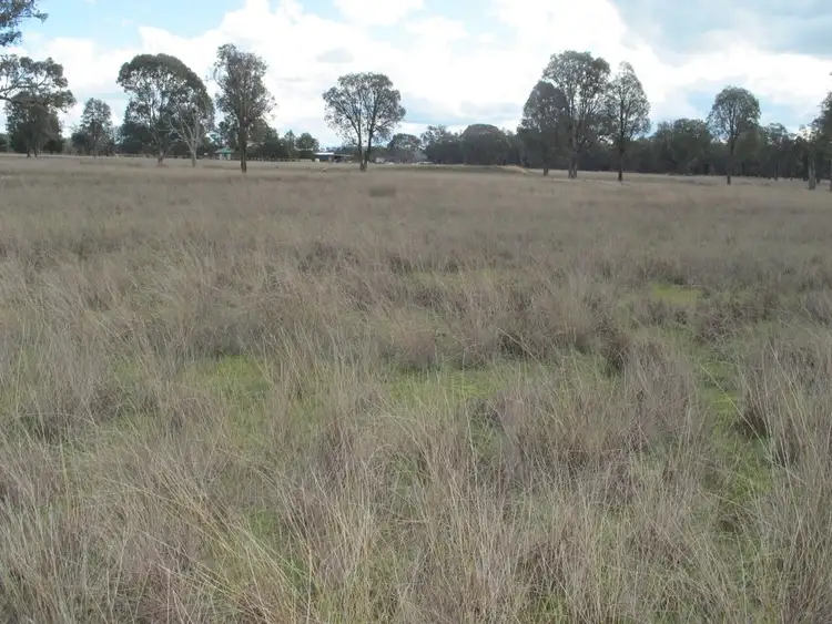 Fifth view of Homely rural property listing, Lot 22 Frog Rock Road, Mudgee NSW 2850