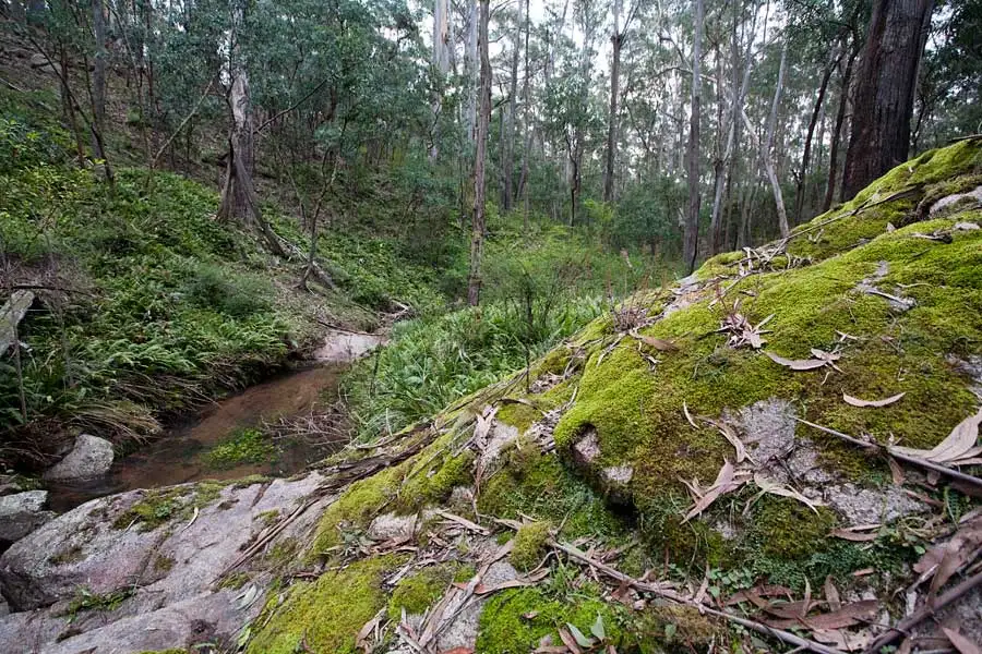 Main view of Homely land listing, Lot 35 Myrtle Mtn Rd, Candelo NSW 2550