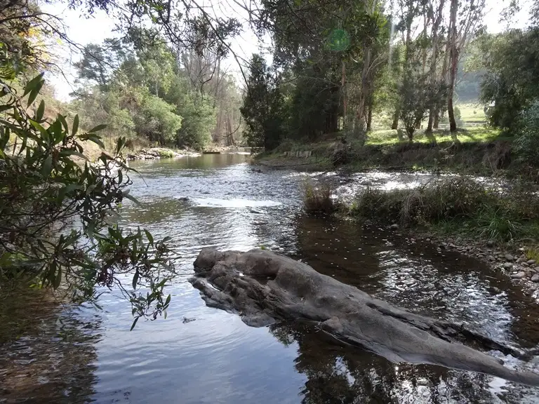 Main view of Homely rural property listing, Address available on request