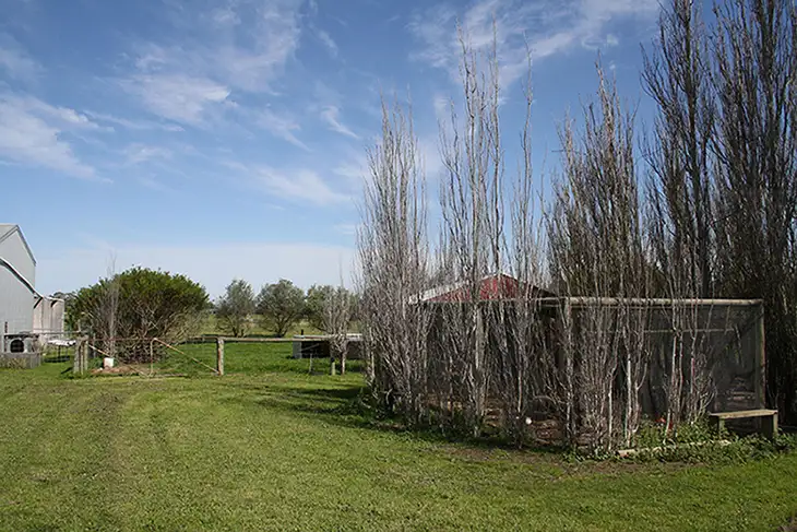 Fourth view of Homely house listing, 176 Miles Road, Hynam SA 5262
