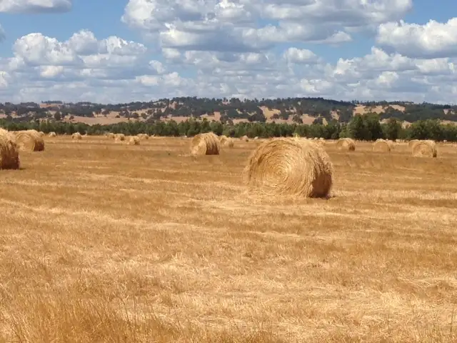 Second view of Homely rural property listing, 126 Partridge Rd, Benger WA 6223