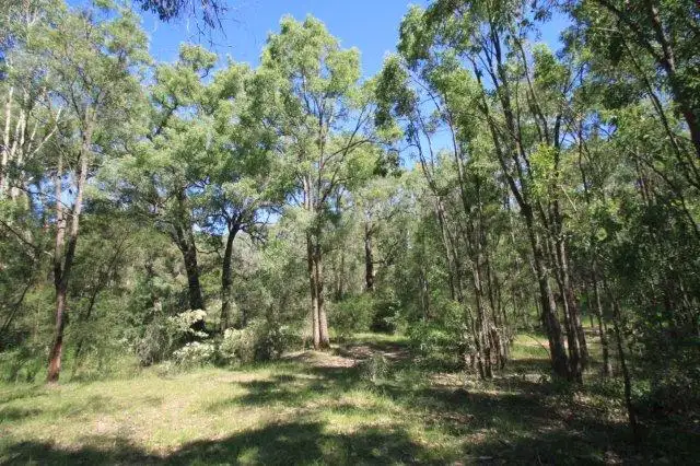 Second view of Homely land listing, 41-45 Ninth Road, Berkshire Park NSW 2765