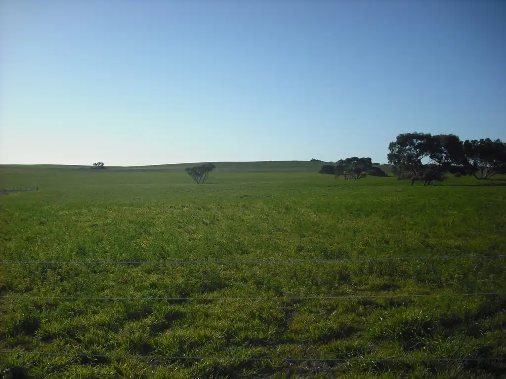 Main view of Homely rural property listing, 678 Butler Road, Coonalpyn SA 5265