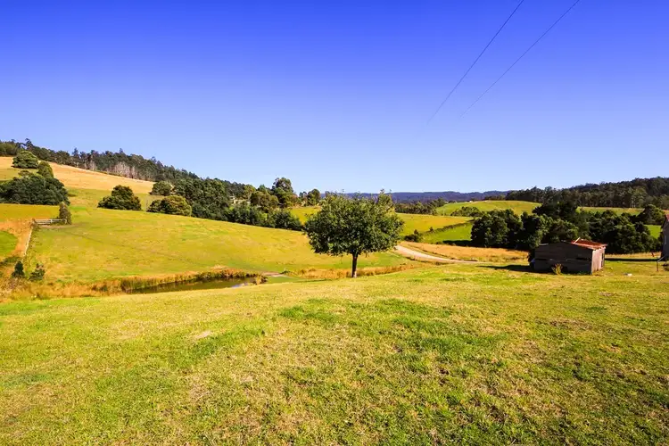 Fourth view of Homely house listing, 191 Lottah Road, Goulds Country TAS 7216
