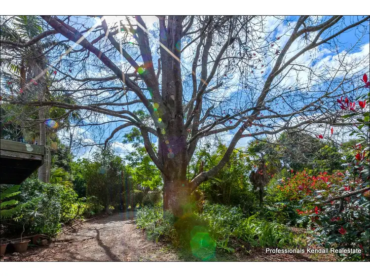 Main view of Homely rural property listing, 19 Licuala Drive, Tamborine Mountain QLD 4272