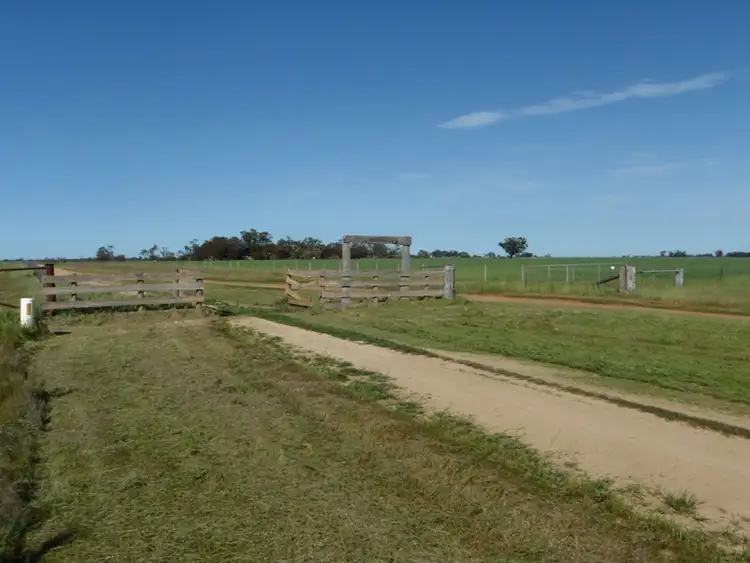 Sixth view of Homely rural property listing, 265 Southdown Road, Deniliquin NSW 2710